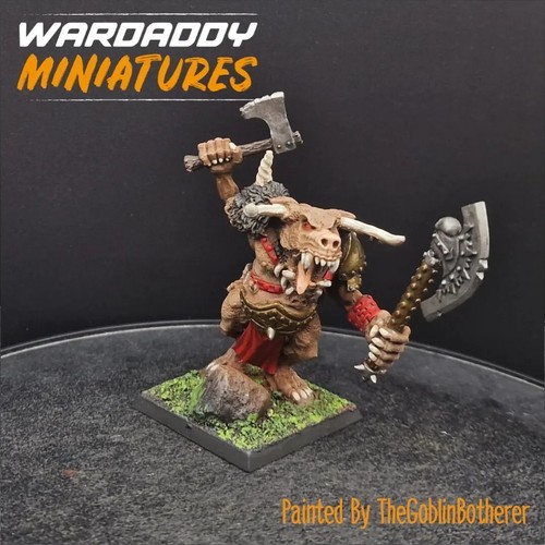 Pro painted warhammer fantasy - pro,